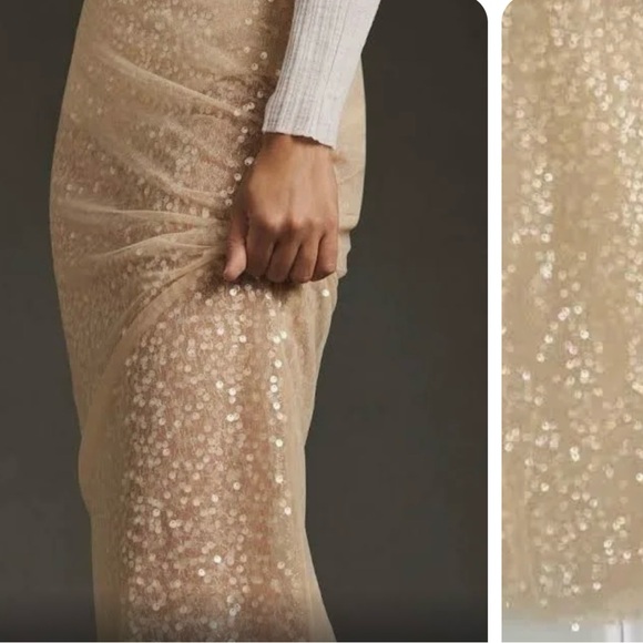 Anthropologie Sunday In Brooklyn Sheer Sequin Midi Skirt-champagne color - Picture 4 of 4